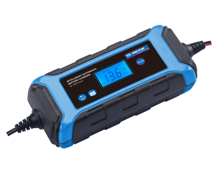 Intelligent automatic battery charger